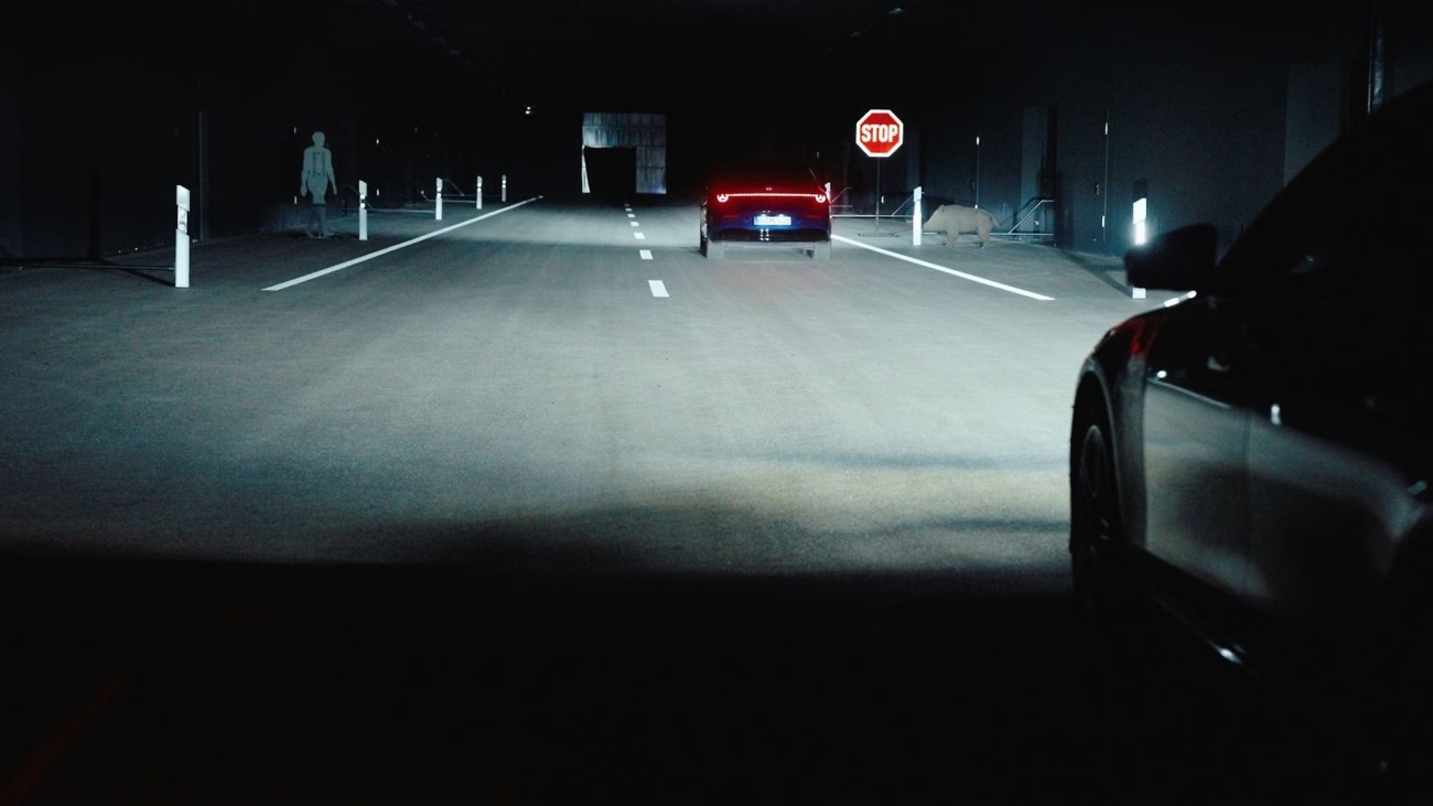 
			Zwei Fahrzeuge auf einer nachgebildeten Landstra�e im Dunkeln, mit Leitpfosten, Stoppschild, einer Passanten-Nachbildung auf der linken Fahrbahnseite und einer Wild-Nachbildung auf der rechten Fahrbahnseite.
		