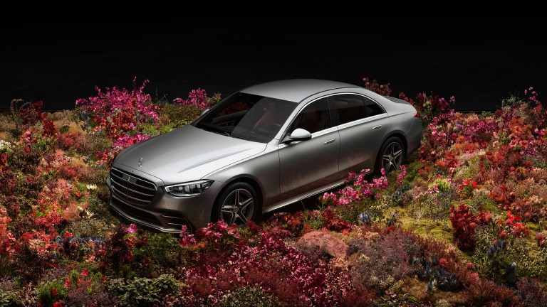 
			Die Mercedes-Benz S-Klasse inmitten eines knstlich angelegten Blumenfeldes in einem dunklen, undefinierbaren Raum.
		